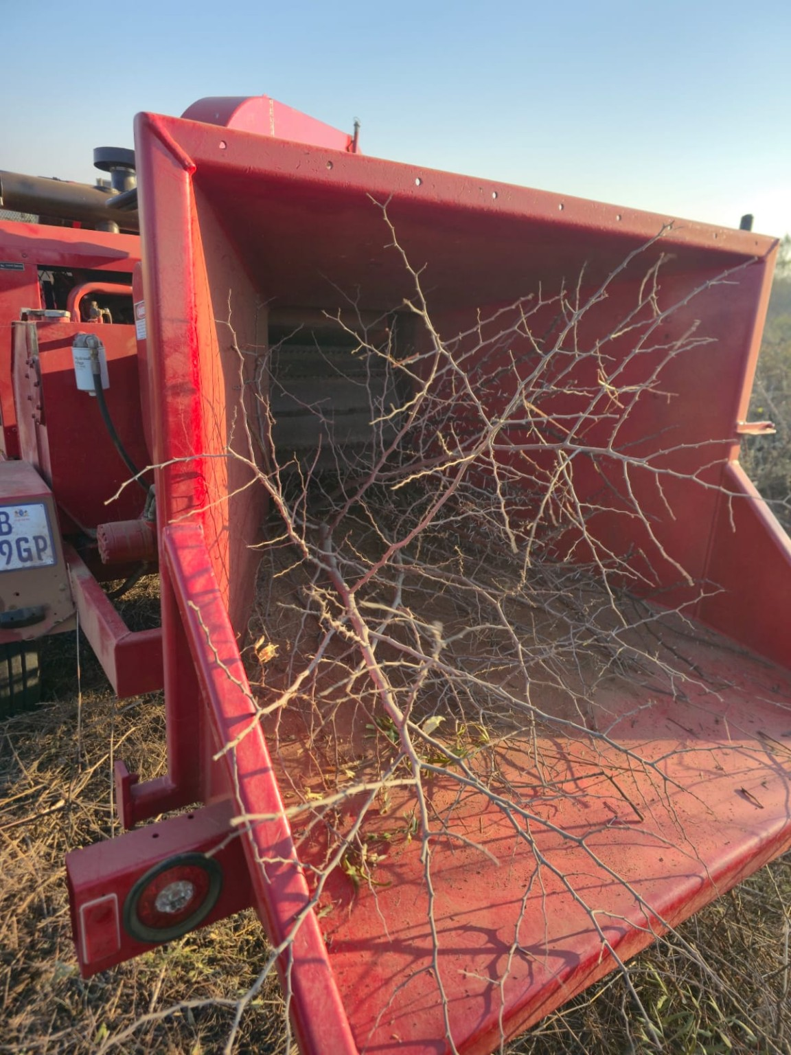 Branches being fed into the red chipper hopper